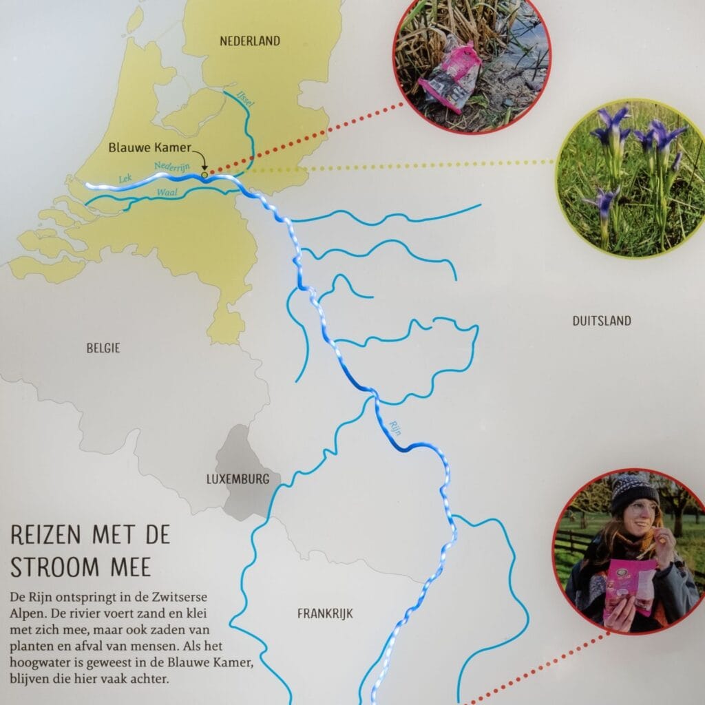 Looplicht Hoog Laag Water