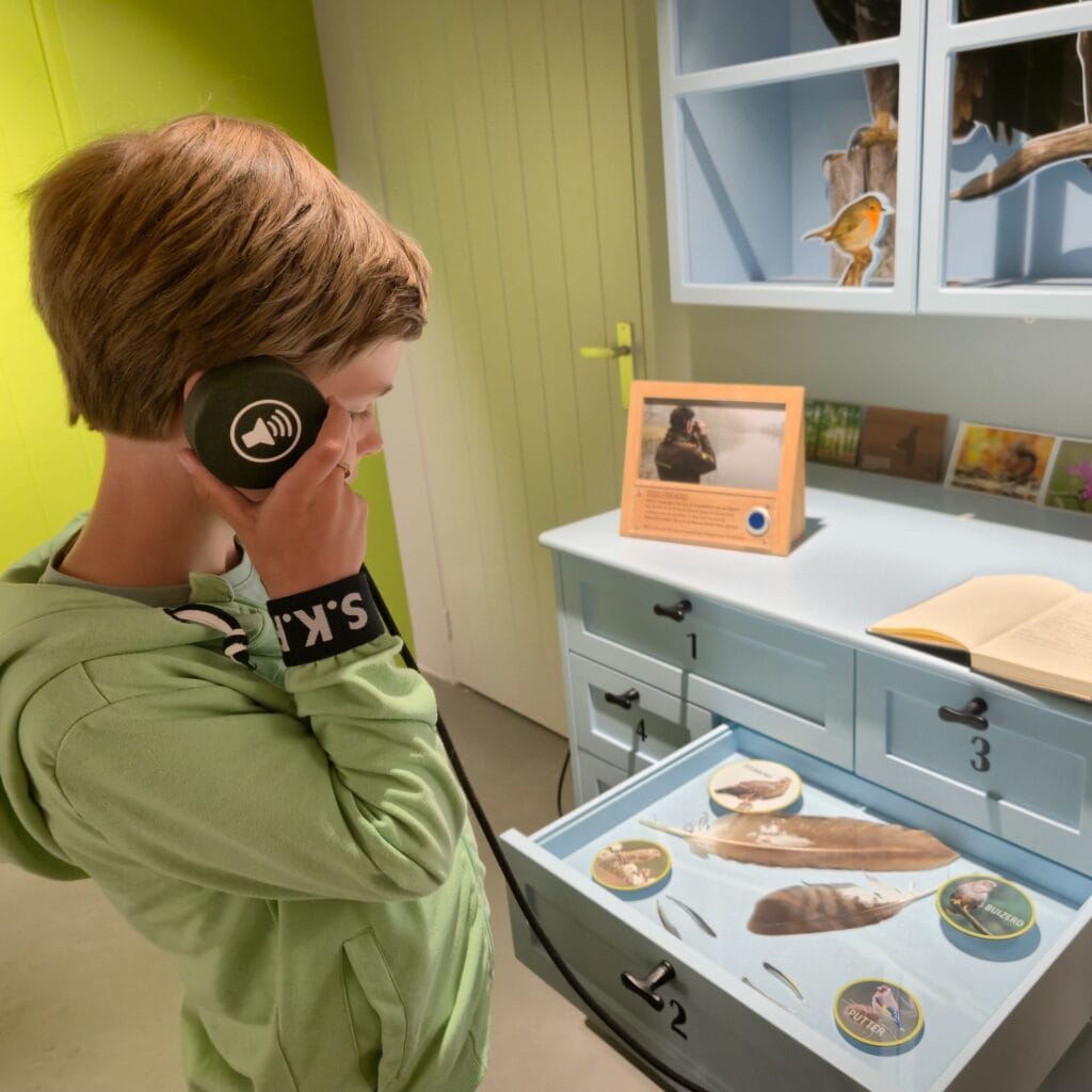 Interactief Vogelparadijs